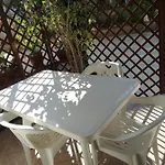La Cycas Tropea