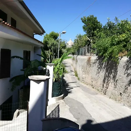 La Cycas
