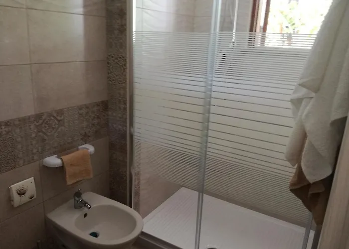 La Cycas 特罗佩阿